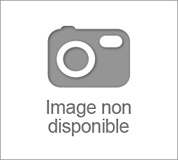 Vase H.10 BULLE Gris