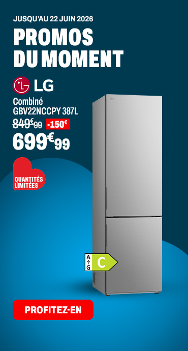 LG Combiné GBV22NCCPY 387L