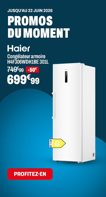 HAIER Congélateur armoire H4F306WDH1BE 301L