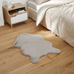 Petit tapis salon