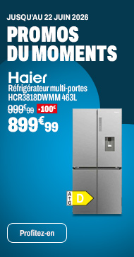 HAIER Réfrigérateur HCR3818DWMM 463L
