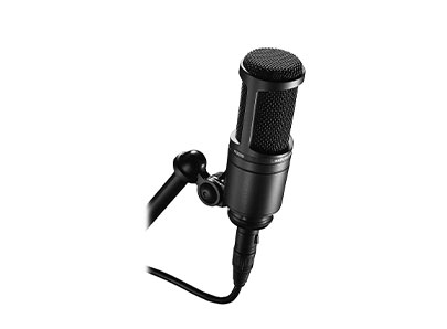 Microphone