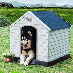Niche - Couchage pour chien