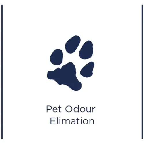 Détergent BISSELL Pet stain et odour 1L vue détaillée