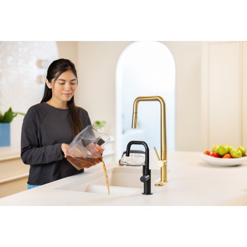 Détacheur BISSELL SpotClean® Hydrosteam 3697N