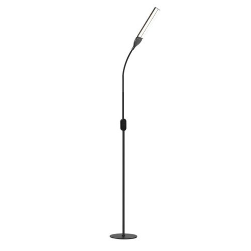 Lampadaire LED Dimmable Noir 158 Cm Tactile 9 W Avec Minuterie  Fonction Mémoire Lampadaire