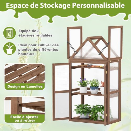 Serre De Jardin à 3 Niveaux En Bois De Sapin, 2 Porte Toit Ouvrant Avec Étagères Réglables, Brun