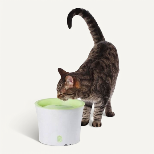Fontaine A Eau Pour Chat 3l - Blanc Et Vert