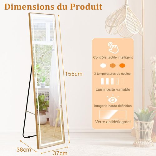 Grand Miroir Sur Pied Doré En Arc XXL - Miroir Mural Ou Debout Pour Salon Et Chambre - Verre Trempé 180x65 Cm