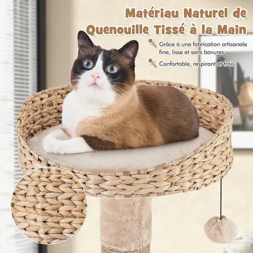 Arbre à Chat Bois 164 Cm, Arbre à Chat Design, 3 Griffoirs Chat En Jute, Tour Pour Chat à 6 Étages