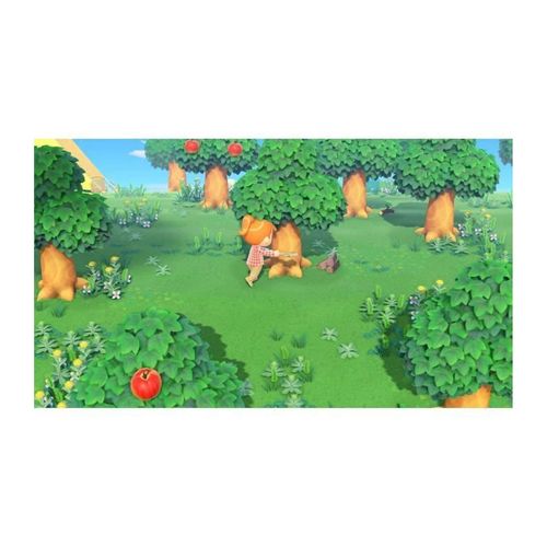 Animal Crossing New Horizons Switch