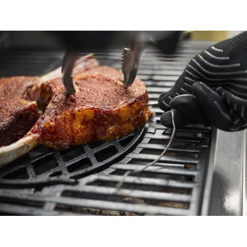 Connect Smart Grilling Hub