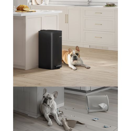 Poubelle De Cuisine, Poubelle 30 L, Poubelle à Pédale En Acier, Avec Seau Intérieur, Noir D'encre