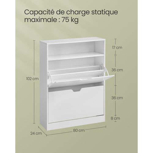 Meuble à Chaussures 2 Portes Battantes, 11 à 16 Paires, Pour Petite Entrée, 24 X 80 X 102 Cm, Blanc
