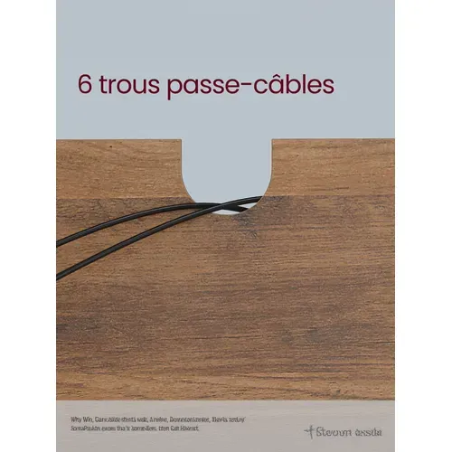 Meuble TV, Avec Étagère Réglable, Pour Télévision Jusqu'à 65 Pouces, Marron