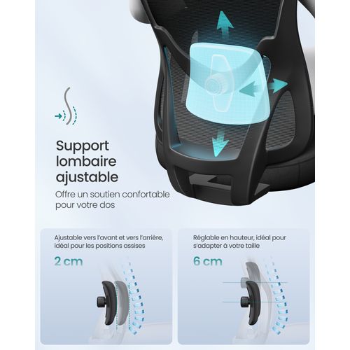 Chaise De Bureau Ergonomique, Appui-tête Et Soutien Lombaire Réglables,  Hauteur Réglable, Noir