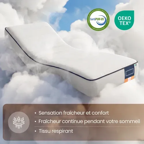 Matelas Mousse 90x190 cm - Accueil Mémoire De Forme - 7 Zones - Epaisseur 16 cm - Housse lavable
