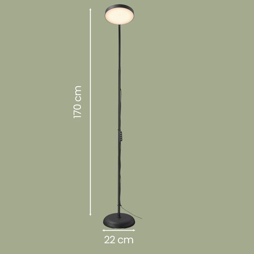 Lampe De Lecture Avec Télécommande, Hauteur Réglable Avec Col De Cygne, Fonction Minuteur,noir