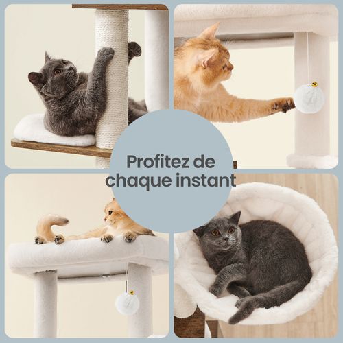 Arbre à Chat Moderne De 178 Cm Avec Enceinte Pour Litière, Marron Et Blanc