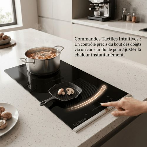Domino Induction Encastrable Linarie Lin30i1f 29 Cm Avec Zone Flexible