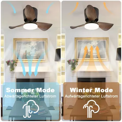 Ventilateur De Plafond LED Avec Éclairage Silencieux 23w 70cm Noir Minuterie 6 Vitesses