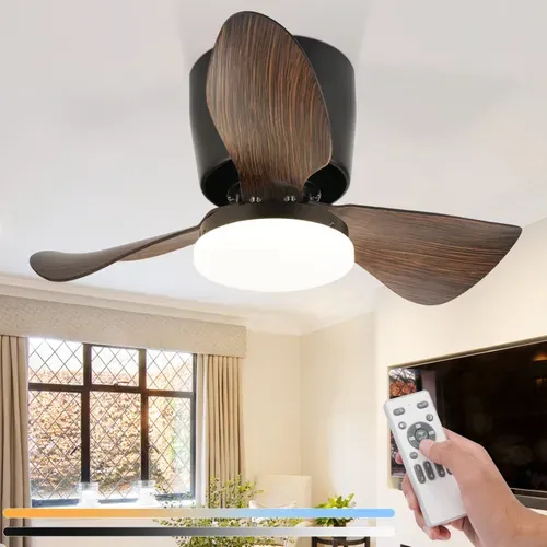Ventilateur De Plafond LED Avec Éclairage Silencieux 23w 70cm Noir Minuterie 6 Vitesses