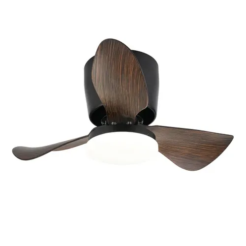 Ventilateur De Plafond LED Avec Éclairage Silencieux 23w 70cm Noir Minuterie 6 Vitesses