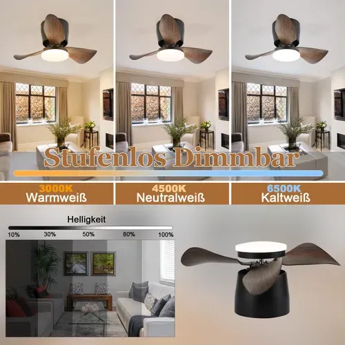 Ventilateur De Plafond LED Avec Éclairage Silencieux 23w 70cm Noir Minuterie 6 Vitesses