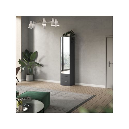 Lit Escamotable +2 Placards Vertical 120x200+(50x2)cm Miroir Lit Mural Anthracite/anthracite