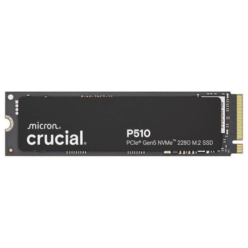 P510 1 To M.2 2280 Nvme PCie Gen5 — Jusqu'à 11 000 Mo/s Lecture, 9 500 Mo/s Écriture