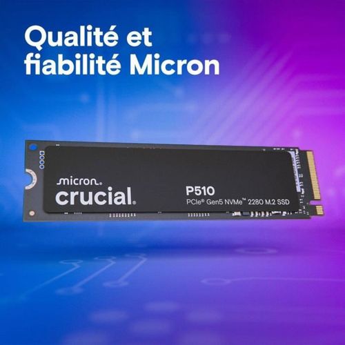 P510 1 To M.2 2280 Nvme PCie Gen5 — Jusqu'à 11 000 Mo/s Lecture, 9 500 Mo/s Écriture