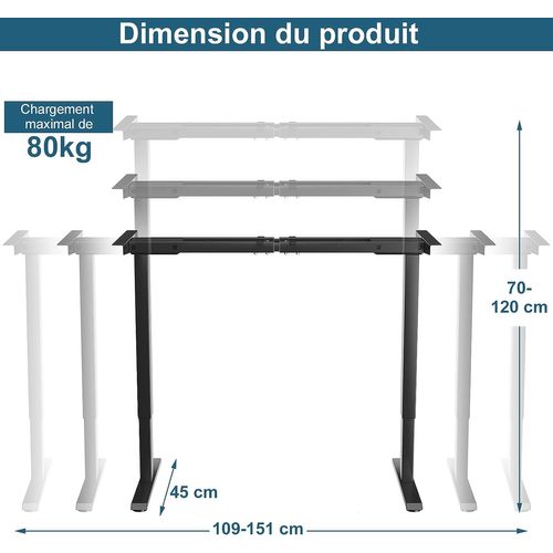 Bureau Assis Debout/ Pied De Bureau Electrique Réglable En Hauteur De 70 à 120 Cm,2 Moteurs,noir