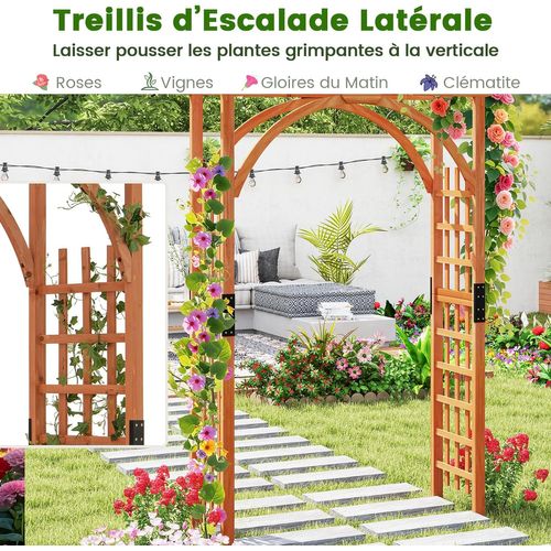 Arche De Jardin En Bois Pour Plantes Grimpantes, Arceau à Rosiers En Treillis 160x60x217cm (naturel)