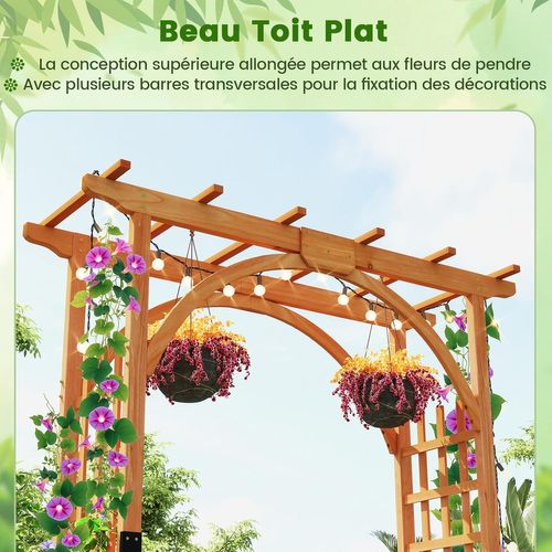 Arche De Jardin En Bois Pour Plantes Grimpantes, Arceau à Rosiers En Treillis 160x60x217cm (naturel)