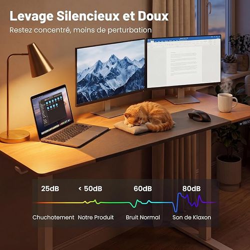 Bureau Assis-debout Électrique ，160x60x（72-118）cm，Avec Mémoire, écran LED, Charge 90kg, Naturel