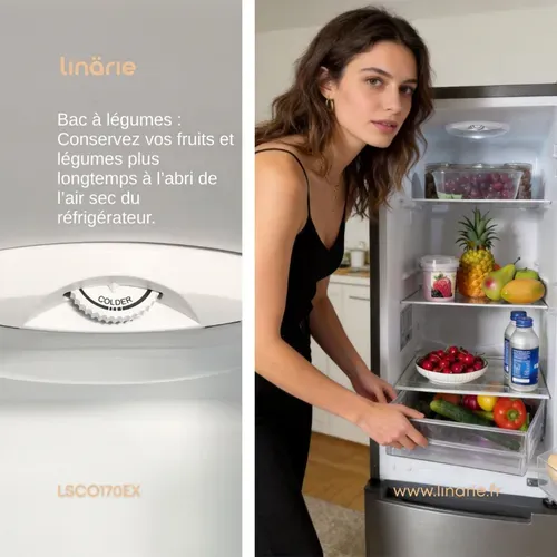 Lsco170ex Réfrigérateur Congélateur Combiné 170 Litres 2 Portes Silver Classe E
