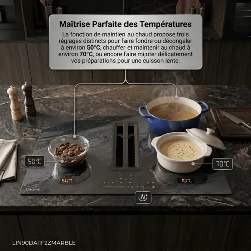 LIN90DAI1F2ZMARBLE Table Induction Aspirante Encastrable 4 Foyers Linarie 2 Flex Zone