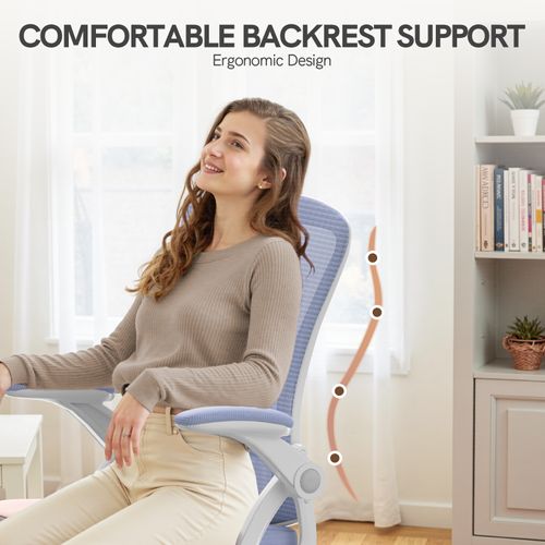 Fauteuil De Bureau Ergonomique En Maille Avec Soutien Lombaire, Accoudoirs Réglables - Pourpre