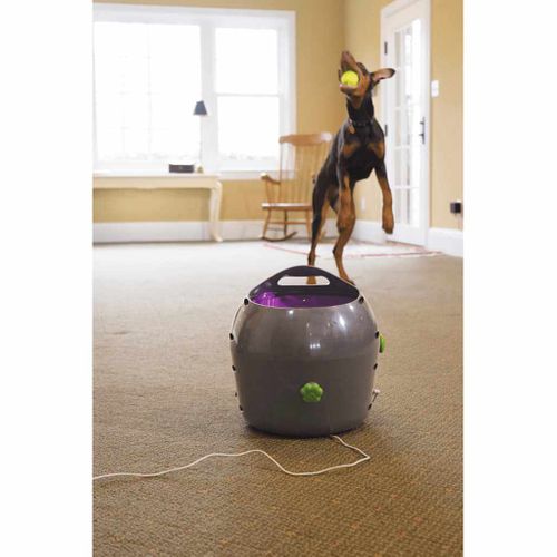 Lanceur Automatique De Balles Gris Pour Chien