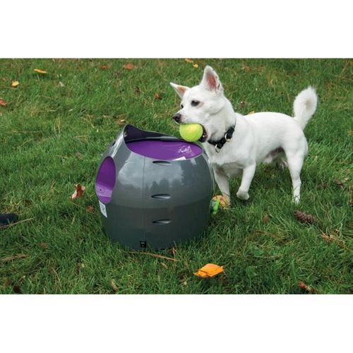 Lanceur Automatique De Balles Gris Pour Chien