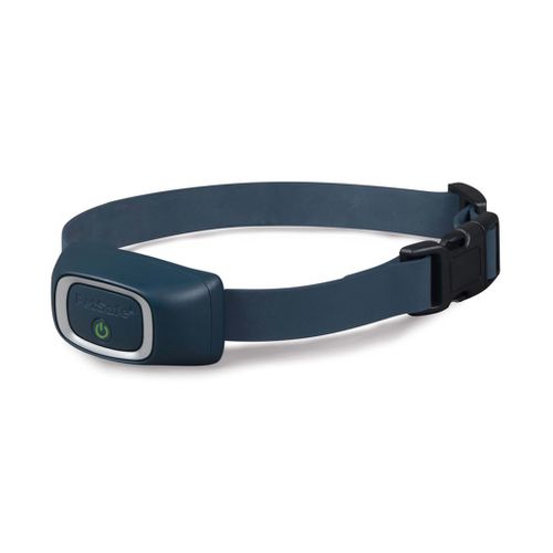 Collier De Dressage Rechargeable Étanche 900 M - 15 Niveaux (2 Chiens)