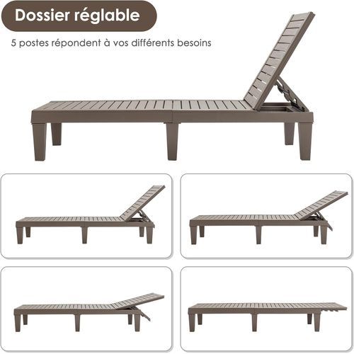 Bain De Soleil Inclinable Chaise Longue Dossier Réglable Sur 5 Positions Charge 180kg Marron