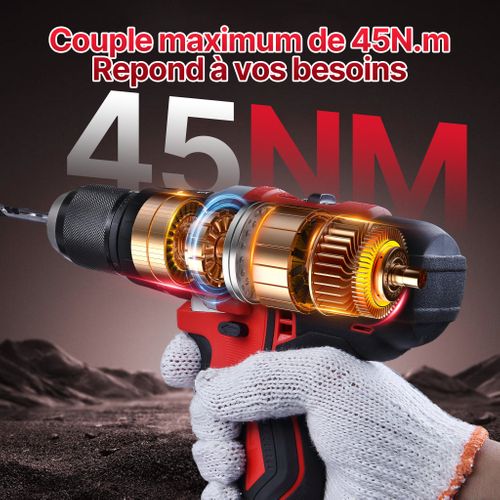 Perceuse-visseuse 20 V, Couple Maximal 45 Nm, Fournie Avec Deux Batteries 2,0 Ah, 20+3 Réglages