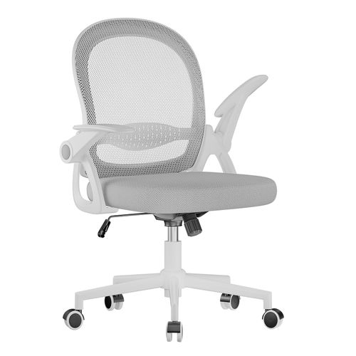 Chaise De Bureau Ergonomique En Maille, Accoudoirs Relevables, Support Lombaire - Gris