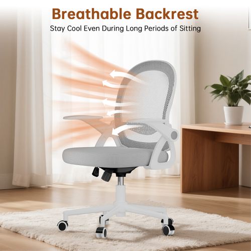 Chaise De Bureau Ergonomique En Maille, Accoudoirs Relevables, Support Lombaire - Gris