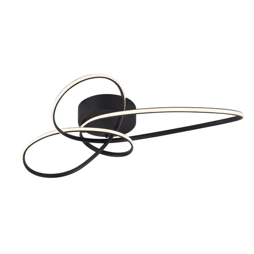 Plafonnier LED 30w Lampe De Salon Noir Plafonnier  Moderne Pour Cuisine Chambre