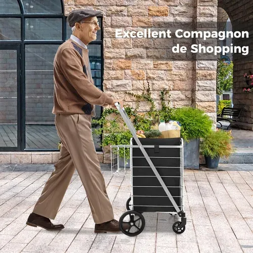 Chariot De Courses Pliable à 4 Roues, Caddie De Courses à Double Panier, Charge 150kg (argent)
