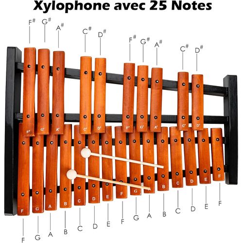 Xylophone Glockenspiel Professionnel à 8 Notes avec maillets pour Enfants Cloches résonantes Parfaitement accordées Instrument de Musique éducatif Tout-Petits et étui Portable
