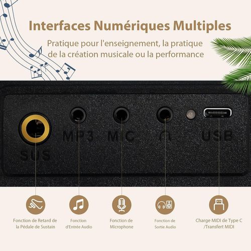 Clavier Numérique Piano 88 Touches Portable Avec Fonction Bluetooth Filtres Dynamique Réglable Noir