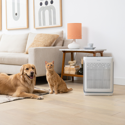 Purificateur D'air 200s Pro Vital Smart